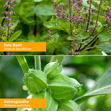 Herb Pharm Daily Stress Relief Spray Portable Herbal Support