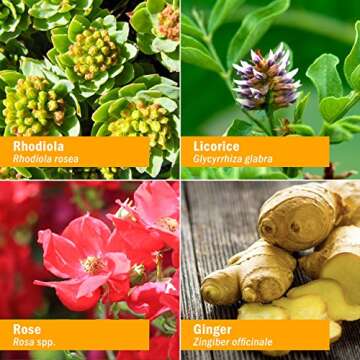 Herb Pharm Daily Stress Relief Spray Portable Herbal Support