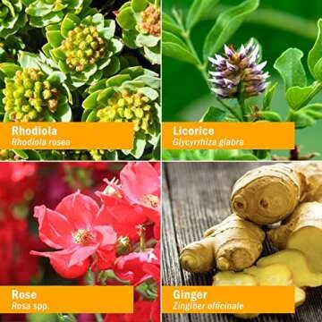 Herb Pharm Daily Stress Relief Spray Portable Herbal Support