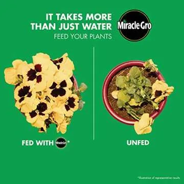 Miracle-Gro Watering Can Singles All Purpose Water Soluble Plant Food, For Flowers, Vegetables, Houseplants, Trees, Indoor and Outdoor Plants, 24 Packets