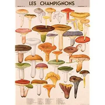 Cavallini Decorative Paper with Vintage Mushroom Design