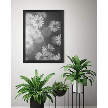 MCS Poster Frame 18x24 Black Woodgrain for Art