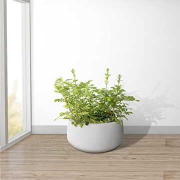 Kante 15.7" Round Concrete Planter for Indoor and Outdoor