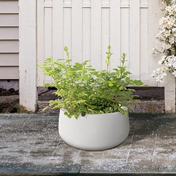 Kante 15.7" Round Concrete Planter for Indoor and Outdoor