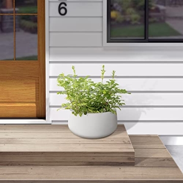 Kante 15.7" Round Concrete Planter for Indoor and Outdoor