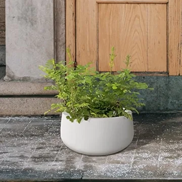 Kante 15.7" Round Concrete Planter for Indoor and Outdoor