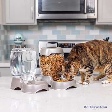 Petmate Pet Cafe Dispenser for Cats and Dogs, 0.25 GAL