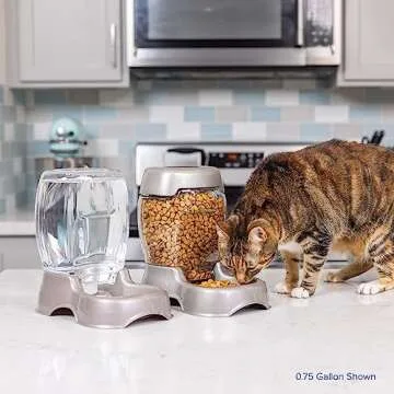 Petmate Pet Cafe Dispenser for Cats and Dogs, 0.25 GAL