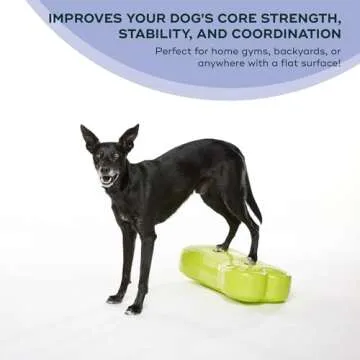 FitPAWS K9FITbone Regular - Premium Dog Training Platform