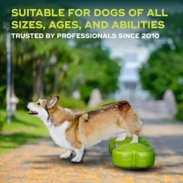 FitPAWS K9FITbone Regular - Premium Dog Training Platform