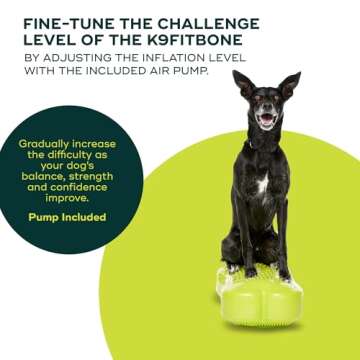 FitPAWS K9FITbone Regular - Premium Dog Training Platform