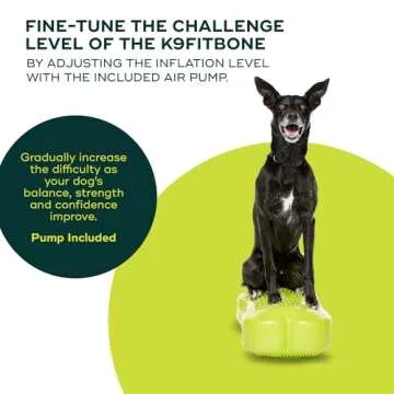 FitPAWS K9FITbone Regular - Premium Dog Training Platform