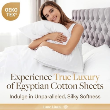 LANE LINEN Luxury Egyptian Cotton King Sheets Set