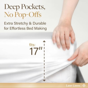 LANE LINEN Luxury Egyptian Cotton King Sheets Set