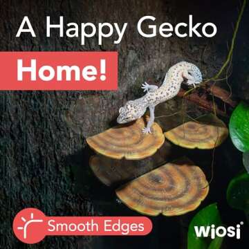 Wiosi 5-Piece Turkey Gill Mushroom Floating Shelves for Decorating Wall | Shelves for Room Wall | Perfect Floating Shelves for Room Decor | Leopard Gecko Tank Accessories