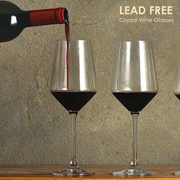 S SALIENT Hand-Blown Crystal Wine Glass Set of 6