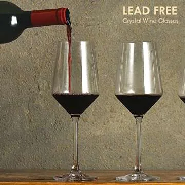 S SALIENT Hand-Blown Crystal Wine Glass Set of 6