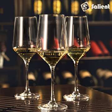 S SALIENT Hand-Blown Crystal Wine Glass Set of 6