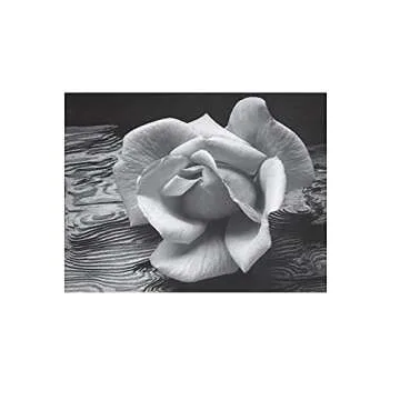 Examples: The Making of 40 Photographs