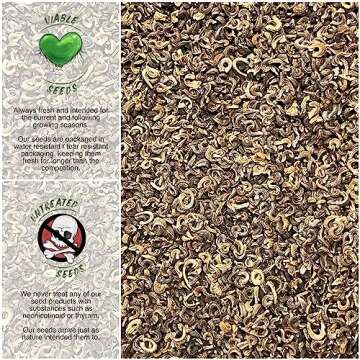 Pink Surprise Calendula Seeds - Vibrant and Non-GMO Flowers