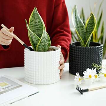 POTEY White Planter Pots for Plants Indoor - 6.1 Inch Ceramic Vintage-Style Hobnail Textured Flower Pot with Drainage Hole for Modern Home Decor 055102, Plants NOT Included