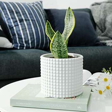 POTEY White Planter Pots for Plants Indoor - 6.1 Inch Ceramic Vintage-Style Hobnail Textured Flower Pot with Drainage Hole for Modern Home Decor 055102, Plants NOT Included