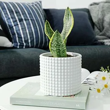 POTEY White Ceramic Planter Pot for Stylish Home Decor
