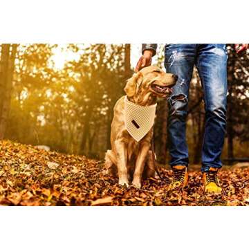 Lionet Paws Dog Bandana - Stylish Accessory for All Breeds