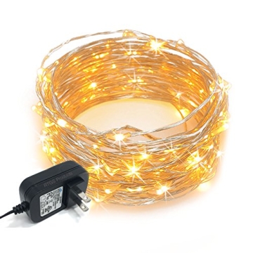RTGS 100 LED String Lights, 32 Feet, Silver Wire, Warm White, Plug-in, Indoor-Outdoor, 5V DC Transfo...