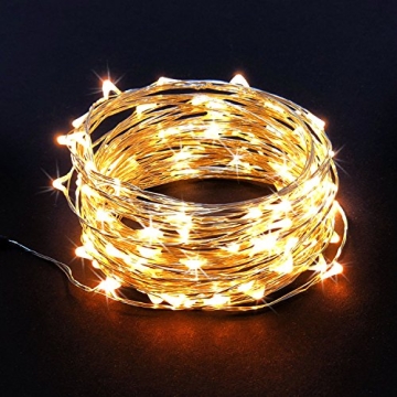 RTGS 100 LED String Lights, 32 Feet, Silver Wire, Warm White, Plug-in, Indoor-Outdoor, 5V DC Transformer
