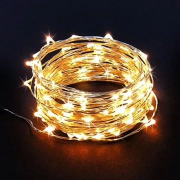 RTGS 100 LED String Lights, 32 Feet, Silver Wire, Warm White, Plug-in, Indoor-Outdoor, 5V DC Transformer