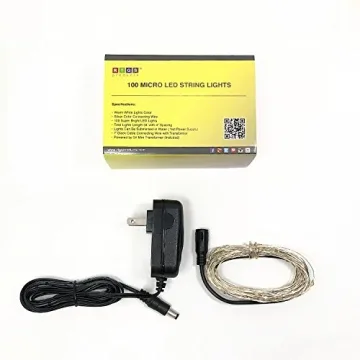 RTGS 100 LED String Lights, 32 Feet, Silver Wire, Warm White, Plug-in, Indoor-Outdoor, 5V DC Transformer