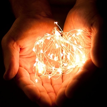 RTGS 100 LED String Lights, 32 Feet, Silver Wire, Warm White, Plug-in, Indoor-Outdoor, 5V DC Transformer