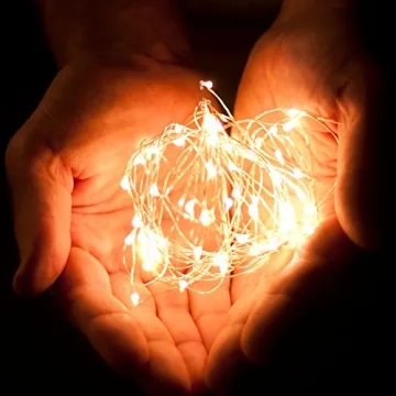 RTGS 100 LED String Lights, 32 Feet, Silver Wire, Warm White, Plug-in, Indoor-Outdoor, 5V DC Transformer