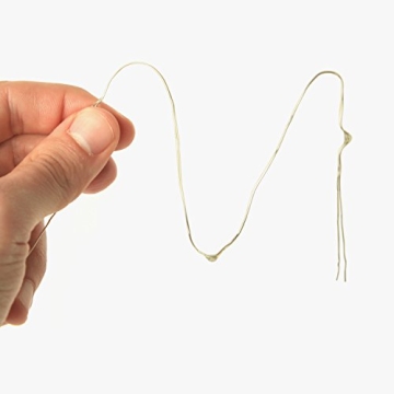 RTGS 100 LED String Lights, 32 Feet, Silver Wire, Warm White, Plug-in, Indoor-Outdoor, 5V DC Transformer