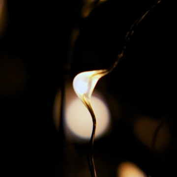 RTGS 100 LED String Lights, 32 Feet, Silver Wire, Warm White, Plug-in, Indoor-Outdoor, 5V DC Transformer