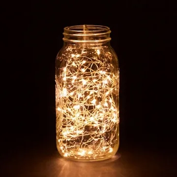 RTGS 100 LED String Lights, 32 Feet, Silver Wire, Warm White, Plug-in, Indoor-Outdoor, 5V DC Transformer