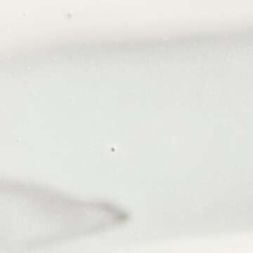 Paul Mitchell Fast Form Styling Cream-Gel, Reduces Drying Time For Faster Styling, Smoothes Texture, For All Hair Types, 6.8 Fl Oz