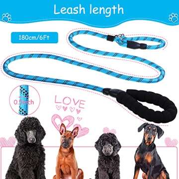 Portable Dog Water Bottle & 6 Feet Leash for Dogs