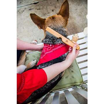 AtEase Accents Detangling Pet Comb for Matted Hair and Detangler, with Long & Short Stainless Steel Teeth for Dog and Cat- Natural Easy Grooming Tool