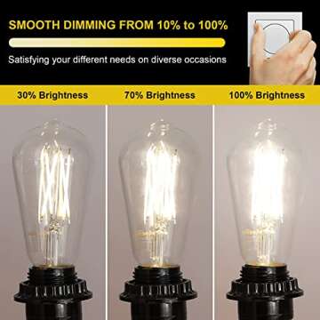 Ascher Vintage LED Edison Bulbs - Dimmable, 60W Equivalent