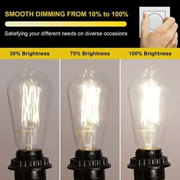 Ascher Vintage LED Edison Bulbs - Dimmable, 60W Equivalent