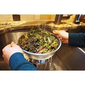 RSVP International Endurance Kitchen Collection Colander Strainer, 3 Quart, Pierced Stainless Steel