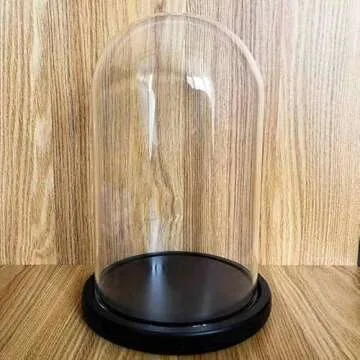 Elegant Glass Cloche Dome Set for Versatile Display