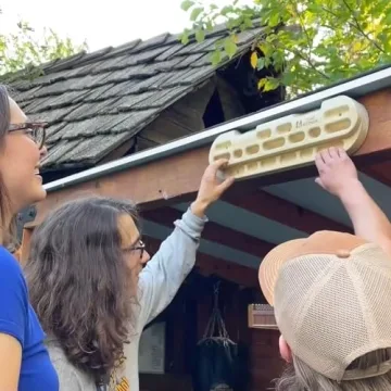 TWO STONES Adjustable Rock Climbing Hangboard with Phone Holder