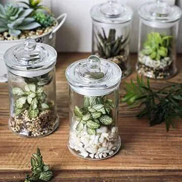 Elegant Glass Apothecary Jars for Stylish Storage Solutions