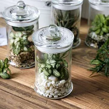 Elegant Glass Apothecary Jars for Stylish Storage Solutions