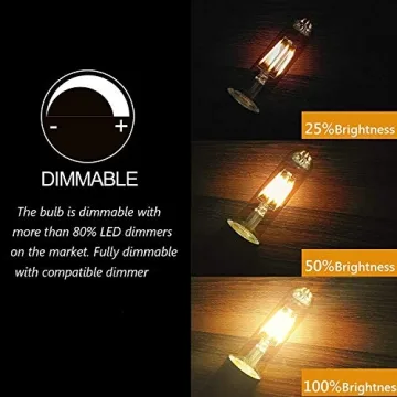Vintage LED T10 Bulbs - 2200K Warm White Dimmable