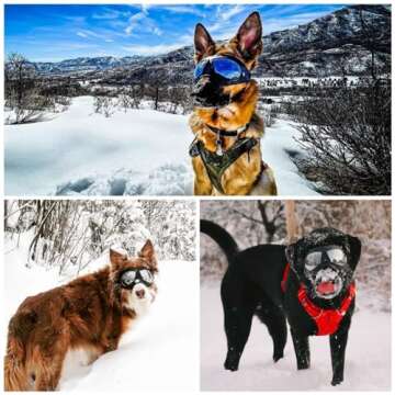 Namsan Dog Goggles for Large Dogs UV Protection Eyewear