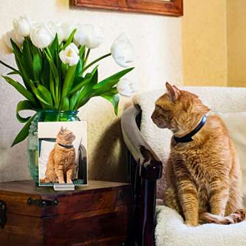 Acrylic Place Card Holders 1.2 Inch Name Card Holder Stands Clear Table Number Stands Wedding Sign Holders Card Display Stand for Table Wedding Photos Office Menu Meeting (100 Pieces)